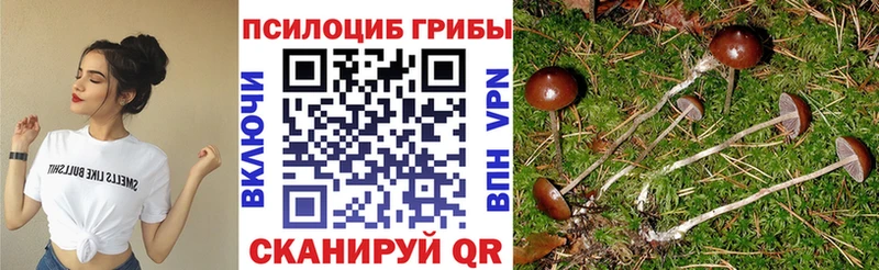 Галлюциногенные грибы GOLDEN TEACHER  Краснообск 